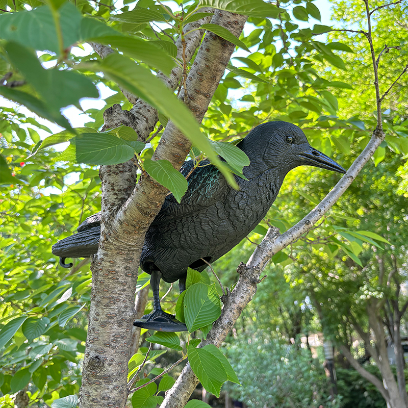 SQ341-10 crow decoy