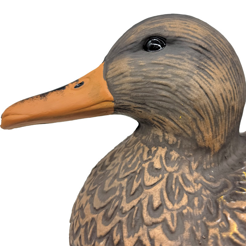 SQ 305 Red Wing Duck decoy