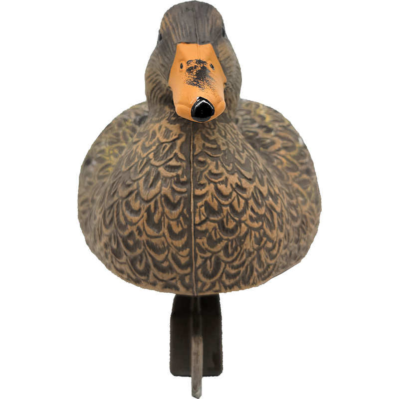 SQ 305 Red Wing Duck decoy