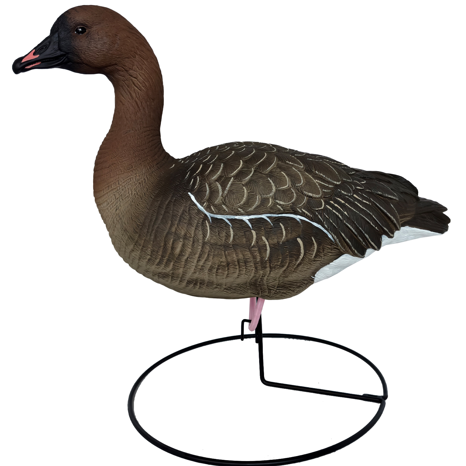 SQ350  Pink-footed Goose HDPE GOOSE DECOY