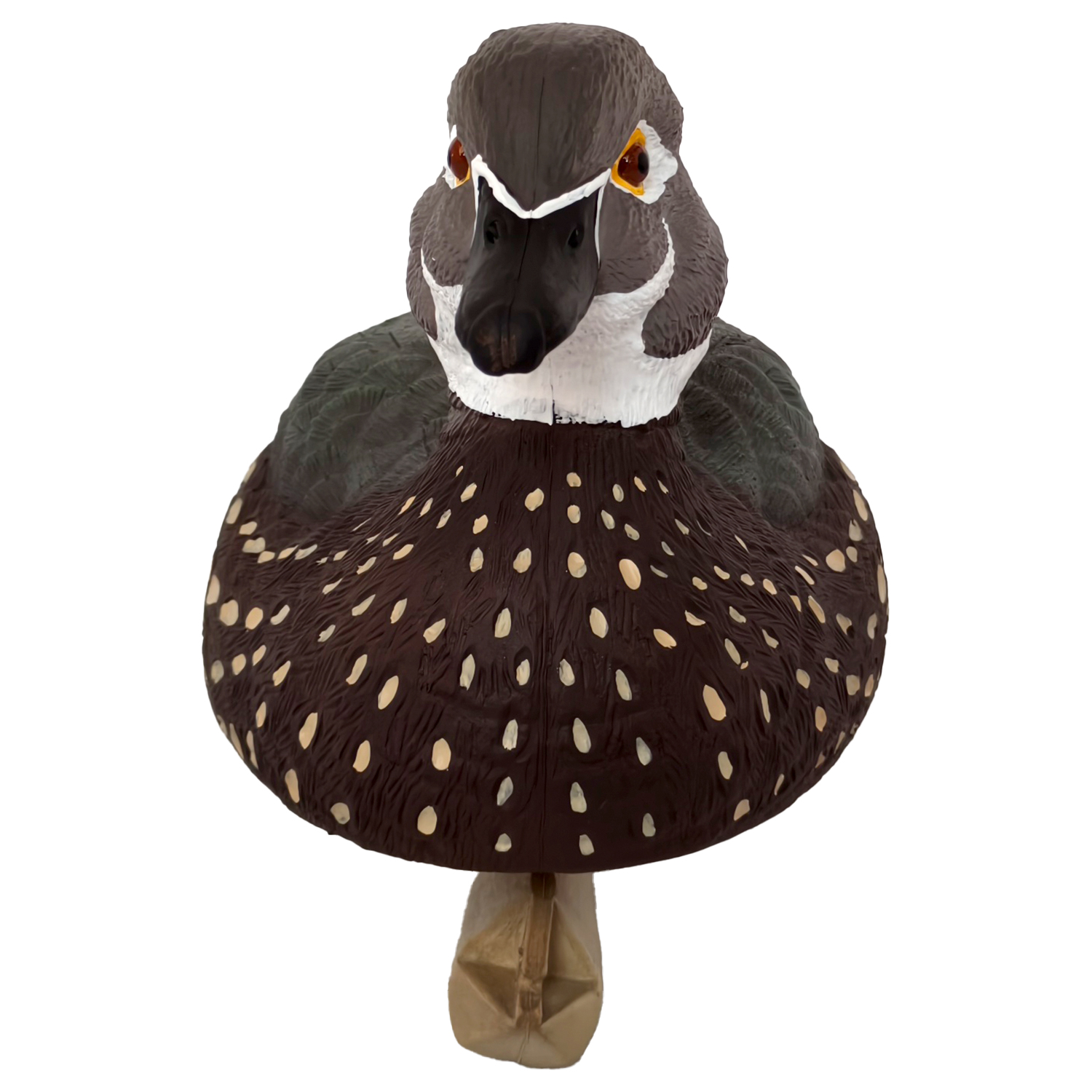 SQ355 Wood duck decoy 