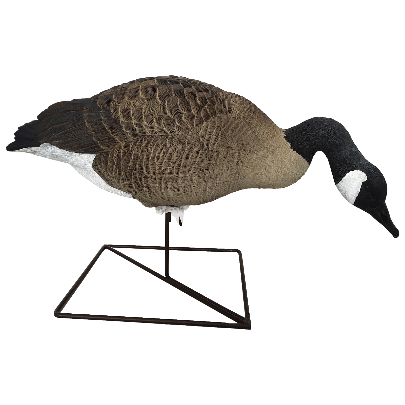 SQ347-1 Hard Canada Goose decoy