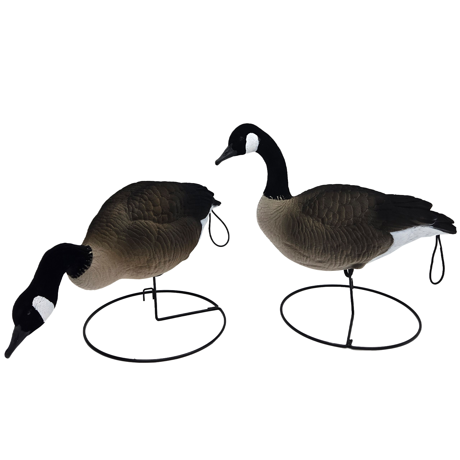 SQ349 HDPE Flocked Canada Goose
