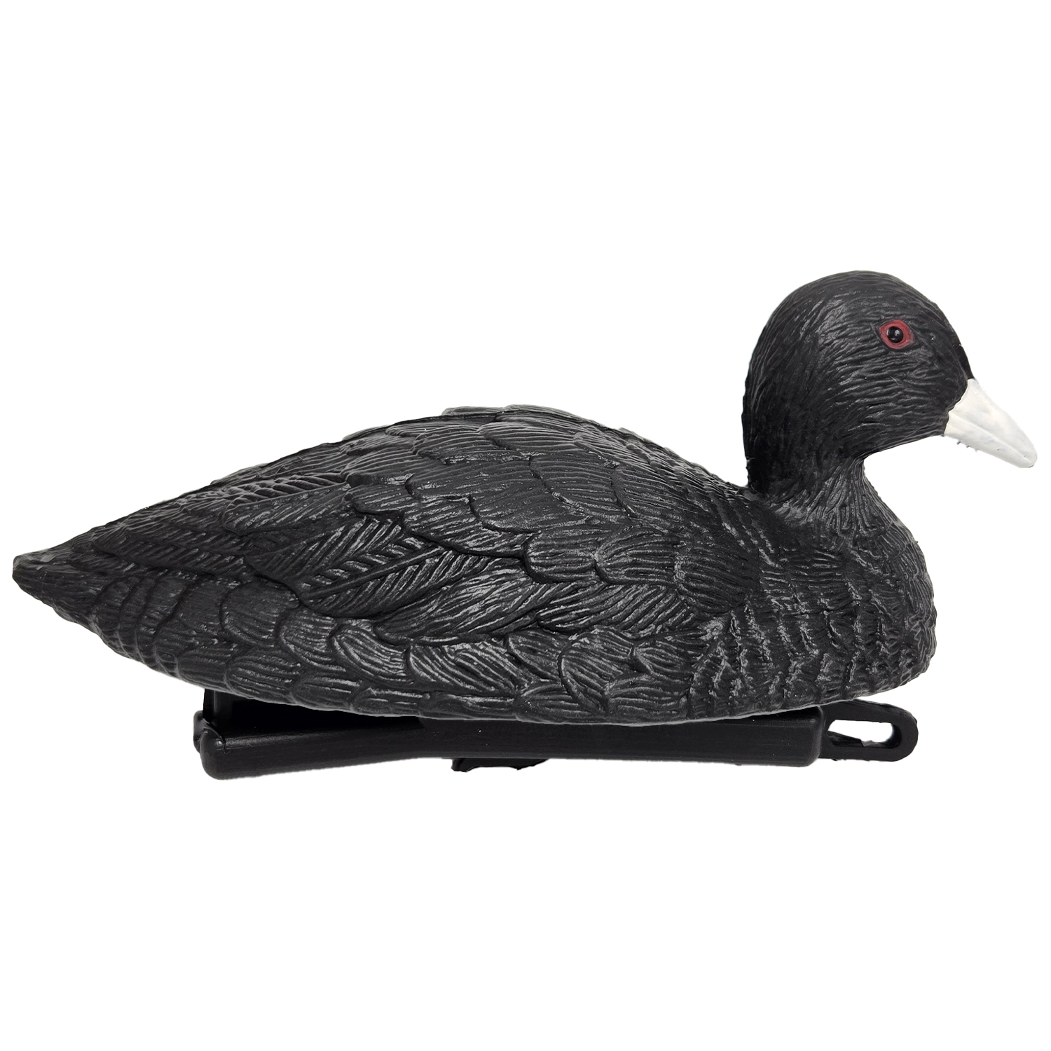 SQ361coot duck decoy