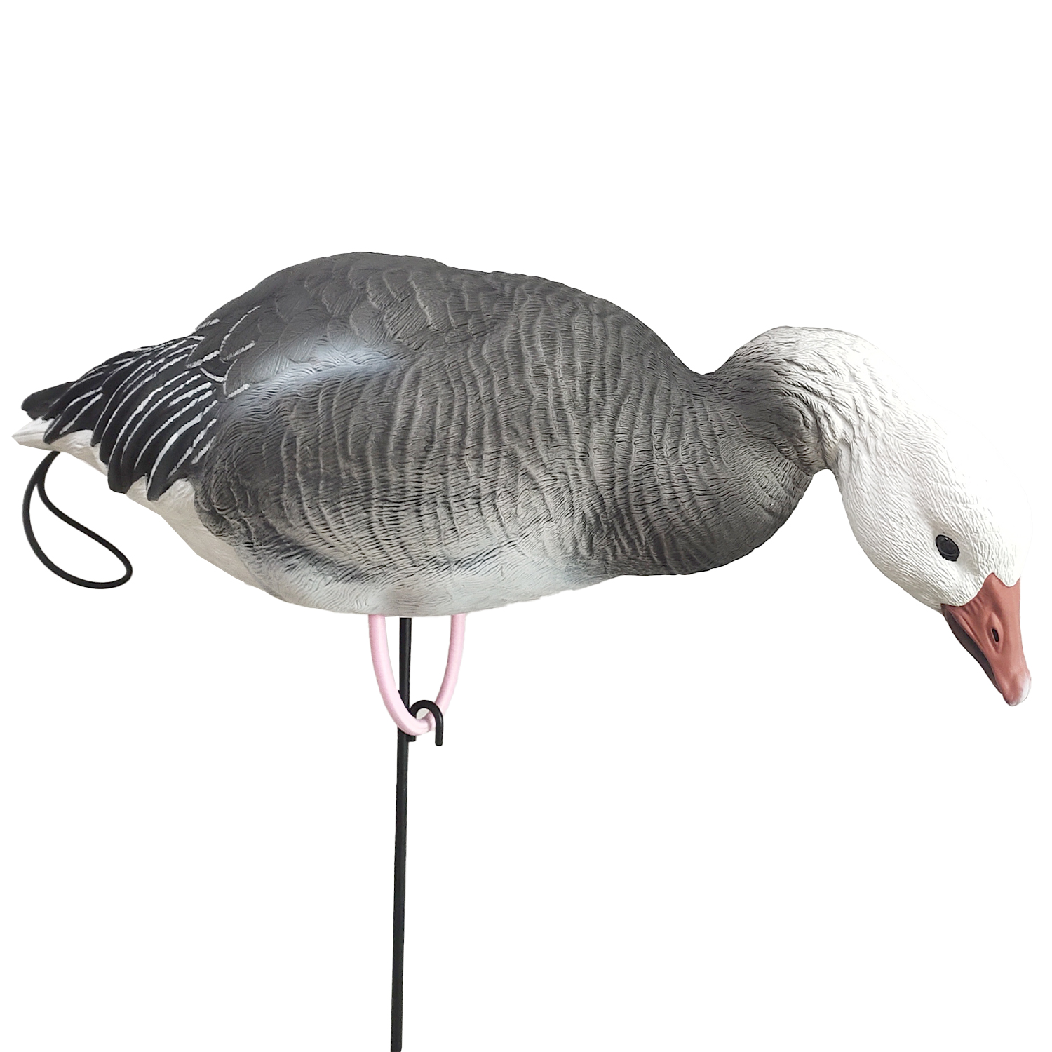 SQ348-2 Blue Goose Decoy 
