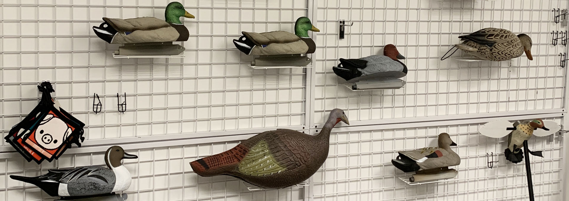 Duck decoy
