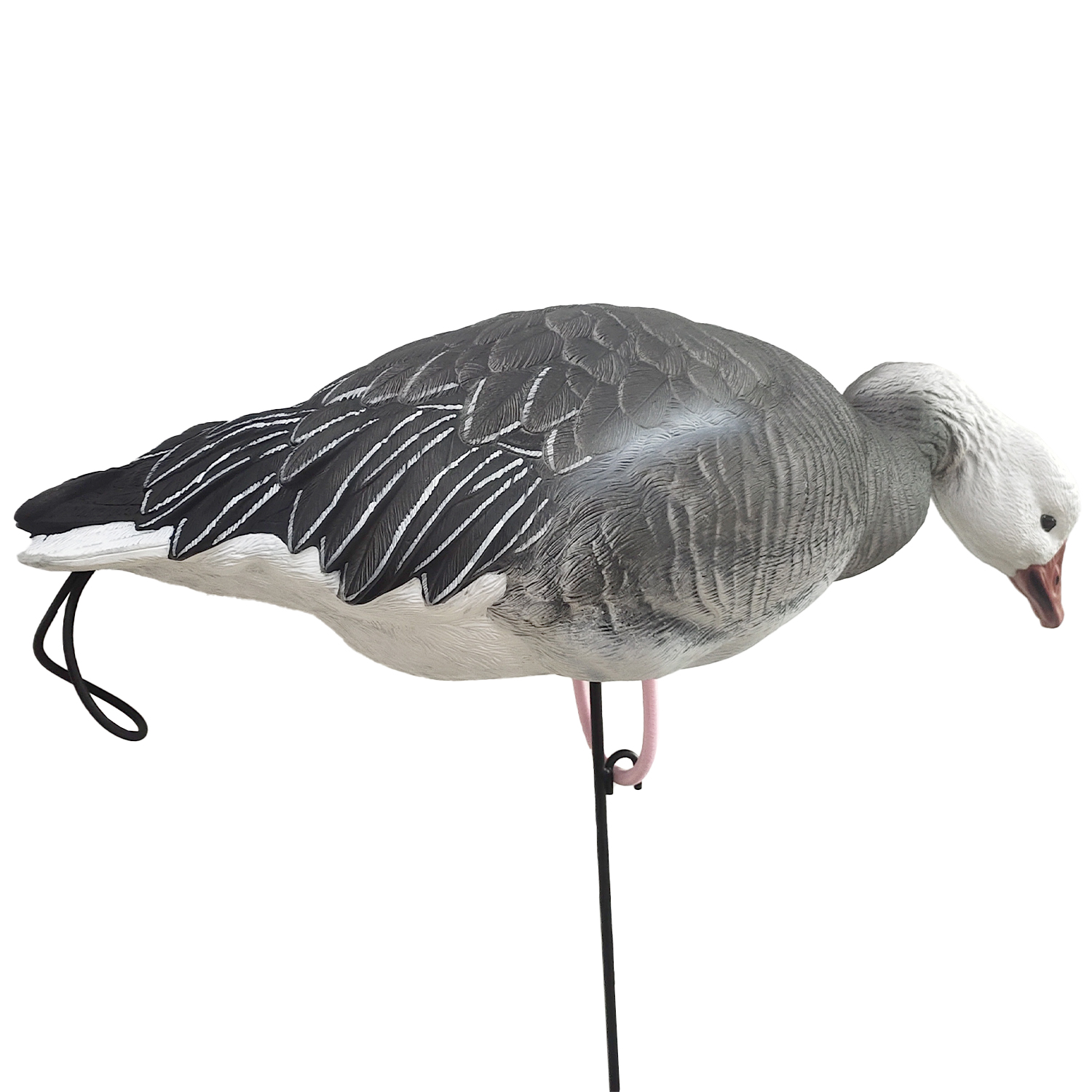 SQ348-2 Blue Goose Decoy 