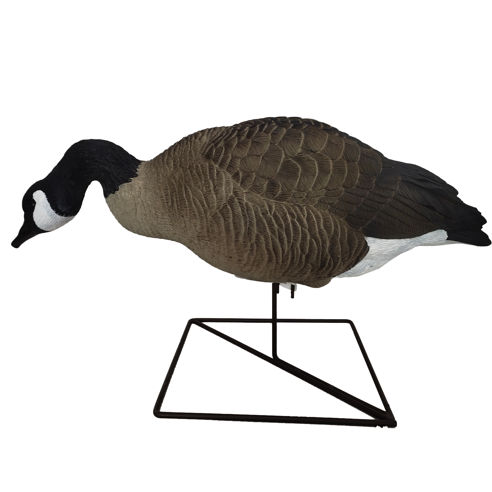 SQ347-1 Hard Canada Goose decoy