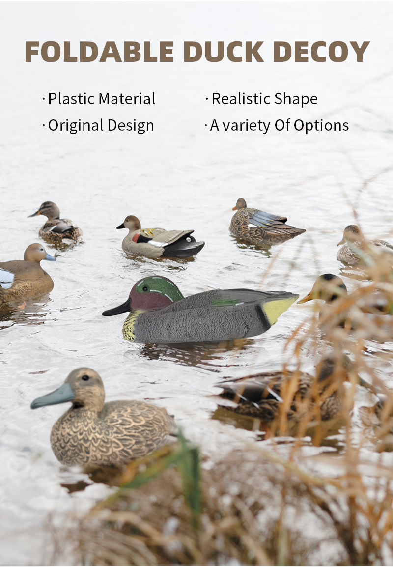 SQ343-1-duck-decoy_01