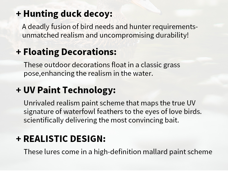 SQ343-2-duck-decoy_03