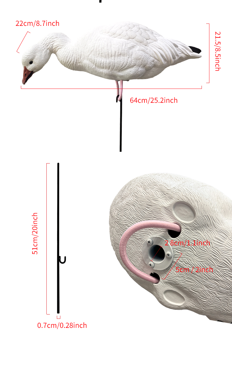 SQ348-1&4_05