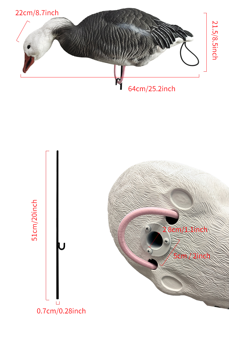 SQ348-2_05