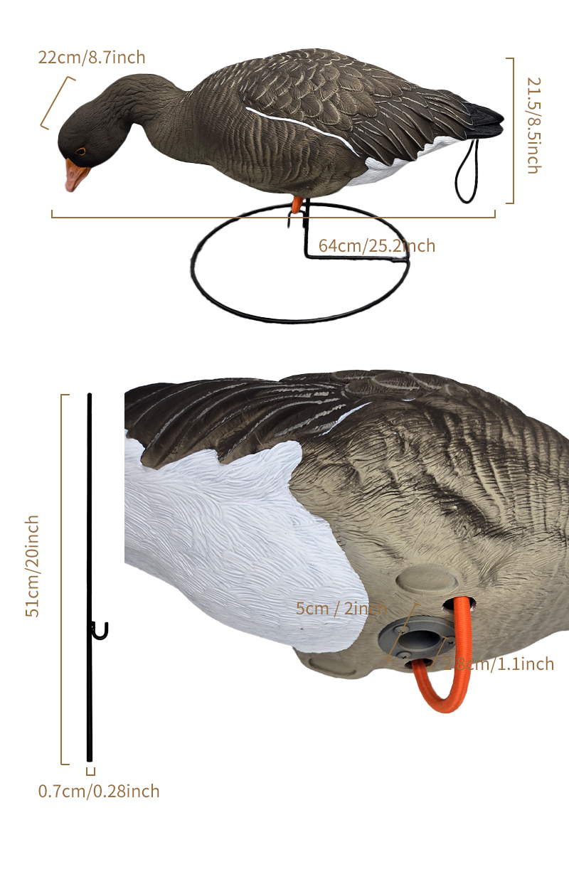 SQ351-1&2_05