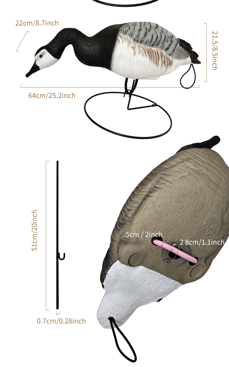 详情_05